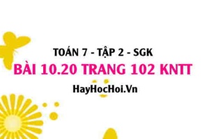 Bài 10.20 trang 102 Toán 7 Tập 2 Kết nối tri thức
